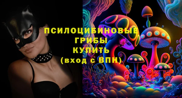 а пвп мука Богданович